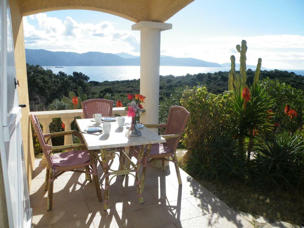 Villa Liamone Studio Fuer 3 Personen , 400 M Vom Strand, Pool, Klimaanlage Sagone  Eksteriør billede